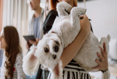 Best Hotel Brands for Pet-Friendly Business Travel