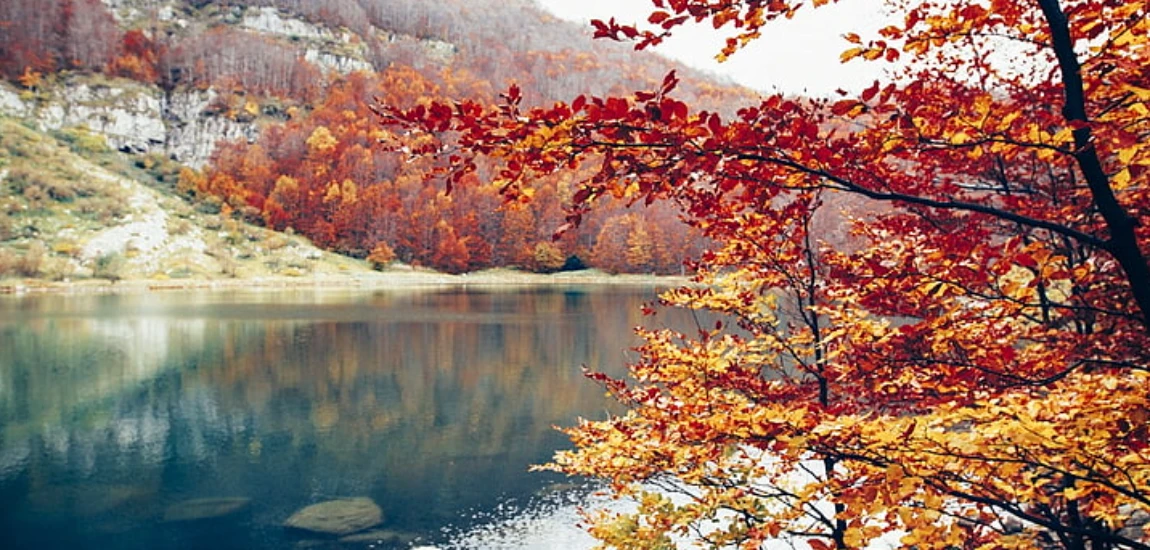 Lorem Ipsum Dolor Sit Amet: A Placeholder Blog Post 2