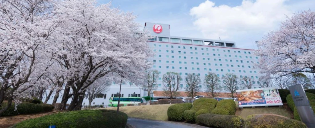 Top Pet-Friendly Airport Hotels Around the World