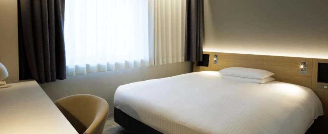 Top Pet-Friendly Airport Hotels Around the World