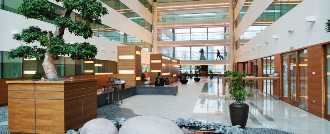 Which Airport Hotels Offer Lounge Access?
