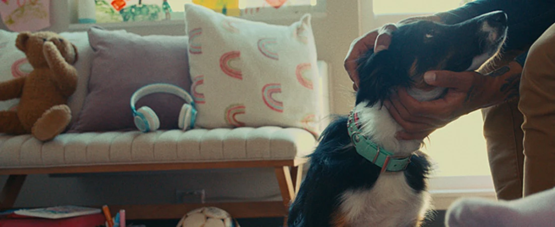 Best Extended Stay Hotels with Pet-Friendly Policies