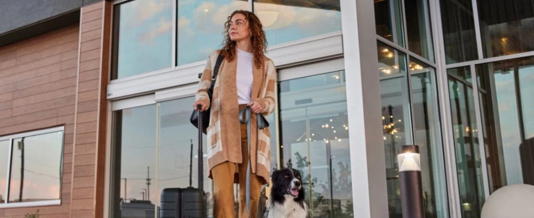 Best Hotel Brands for Pet-Friendly Business Travel